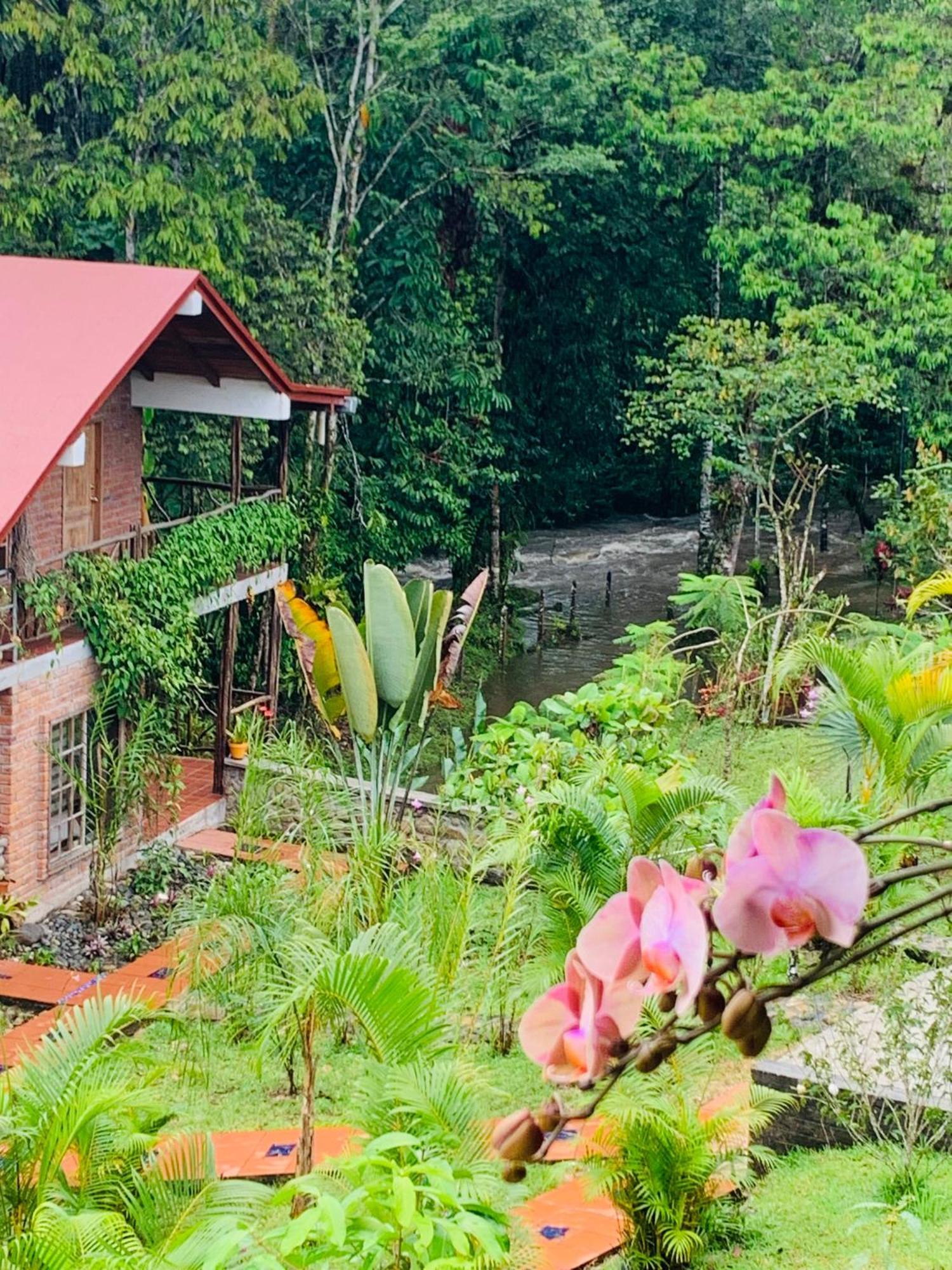 La Casa Del Rio B&B Puyo Eksteriør billede