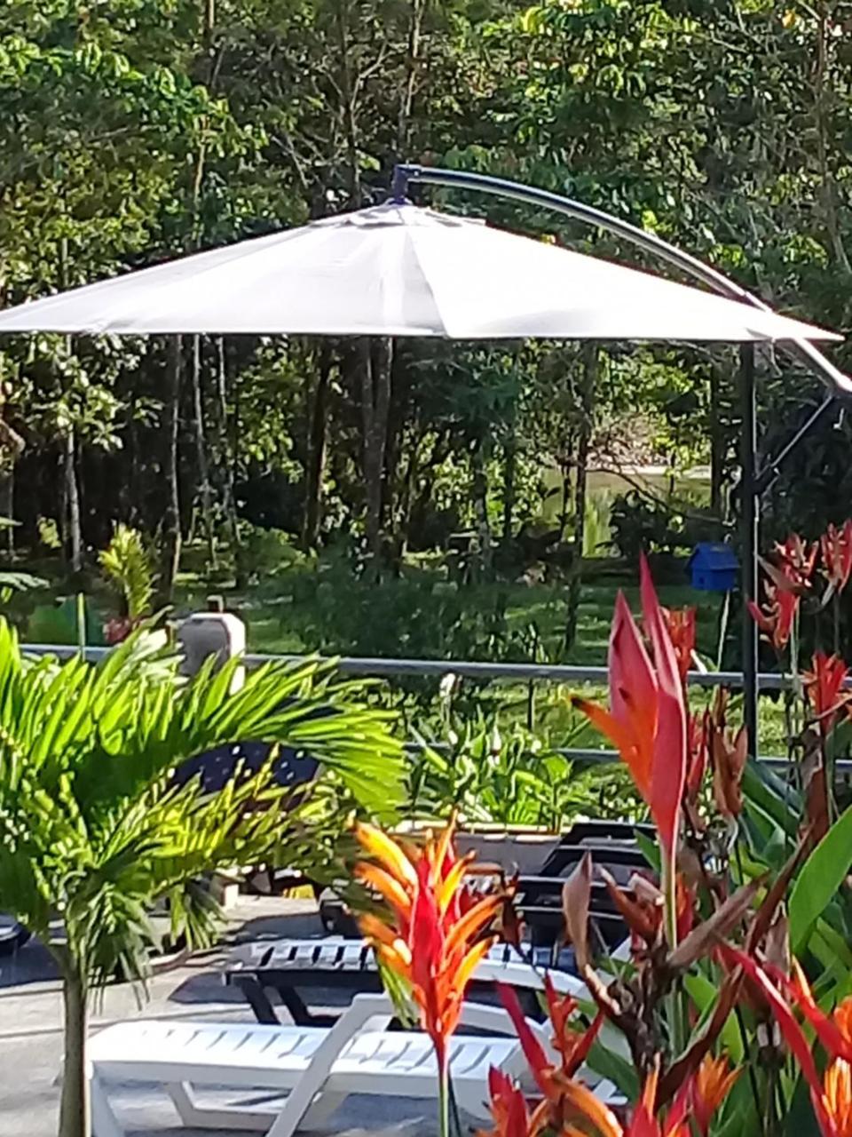 La Casa Del Rio B&B Puyo Eksteriør billede